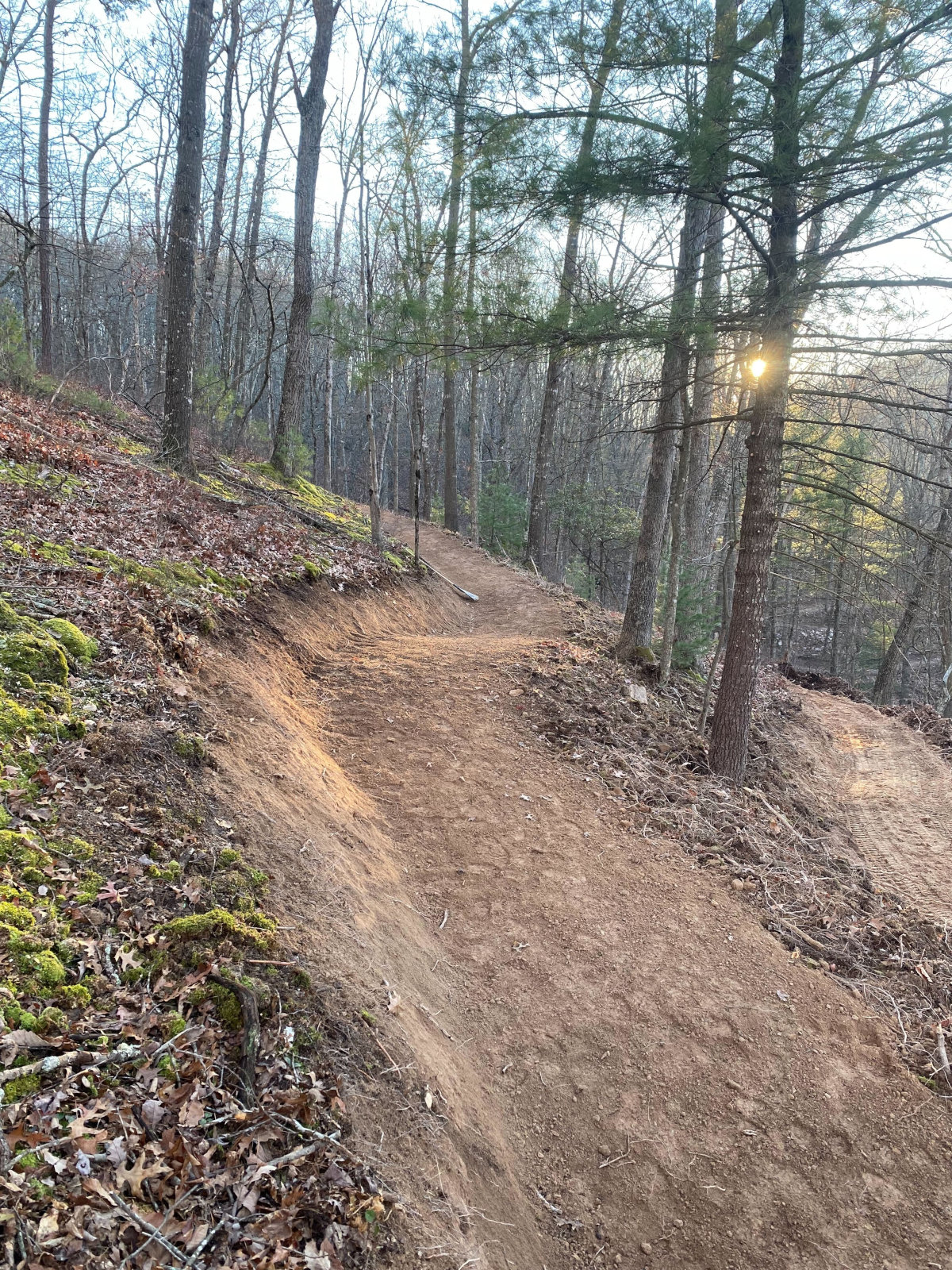 First Phase of the Jay Moglia Memorial Trail System Completed